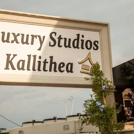 Luxury House - Delightful & Convenient Studio Apartament